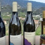 Lievàntu Wine Experience - Hiking to Monte delle Streghe and Legend-Infused Ridge