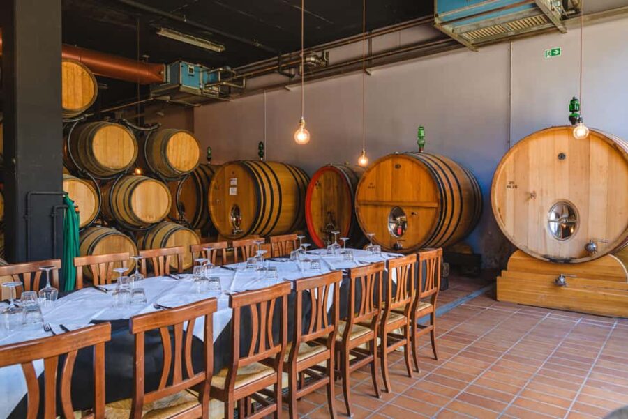 Light Lunch Tasting "Tosca" - The Setting at Palagetto Winery in San Gimignano