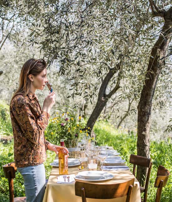 Ligurian Hinterland: Olive Grove Visit and Tasting - The Guided Walk Through Olive Groves