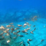 Lindos: Submarine Cruise with Swimming Stop at Navarone Bay - Exploring Lindos from the Sea: A View Like No Other