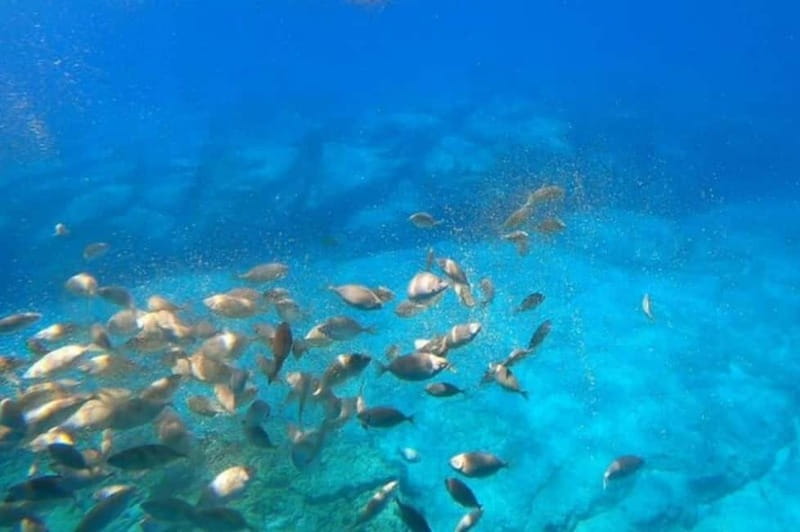 Lindos: Submarine Cruise with Swimming Stop at Navarone Bay - Exploring Lindos from the Sea: A View Like No Other
