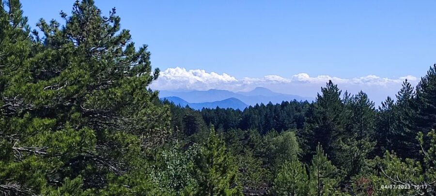 Linguaglossa: North Etna Guided Forest Walking Tour - Cross Lava Flows with Views of the Summit Craters