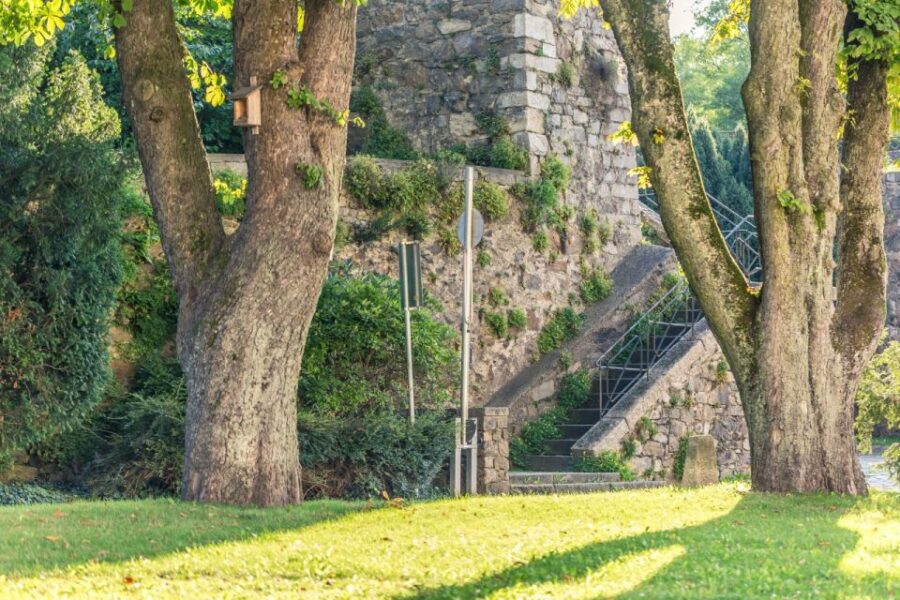 Linz: Private Guided Cycling Tour - Starting Point and Ease of Access in Linz