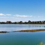 Lio Piccolo: Flamingos & Birdwatching Bike Tour in the Lagoon - Bird Diversity and Lagoon Ecosystem