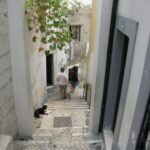 Lisbon: Alfama and São Jorge Castle Quarters Walking Tour - From the Old Roman City of Olisipo to Lisbon’s Medieval Roots