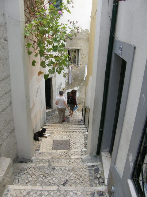 Lisbon: Alfama and São Jorge Castle Quarters Walking Tour - From the Old Roman City of Olisipo to Lisbon’s Medieval Roots