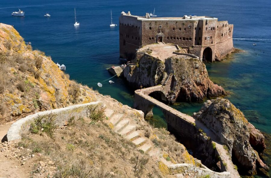 Lisbon: Berlenga Island Full Day Tour - Exploring Berlenga Grande’s Natural Reserve and Flora