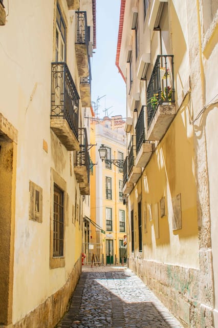 Lisbon: City Highlights Tour with Food Tastings - Gaze Over Lisbon’s Alfama from Portas do Sol