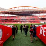 Lisbon: Customized Luz Stadium and Guided Museum Tour - Visit Benfica’s Museum and Discover Its Treasures