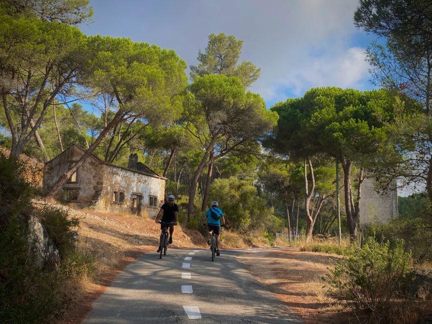 Lisbon: E-bike Trip from the Sintra Mountains to Cascais Sea - Scenic Start at Cascais Market and Through Sintra Forest