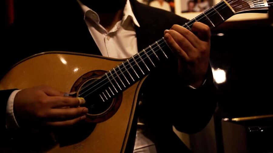 Lisbon: Fado Night Tour with Dinner and Show - Scenic Viewpoints and Neighborhoods of Lisbon at Night
