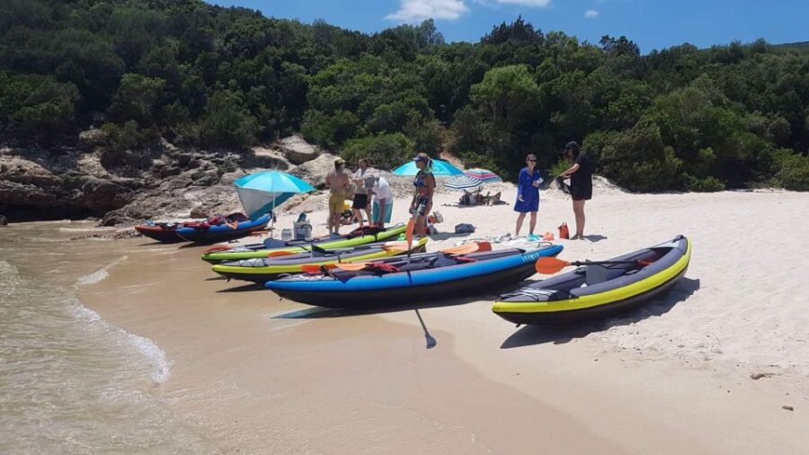 Lisbon: Full-Day Kayak Tour with Picnic and Transfer - Starting Point at Rua do Jardim do Tabaco N2