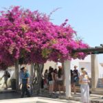 Lisbon: Full-Day Private Walking Sightseeing Tour - Exploring Lisbon’s Oldest Neighborhood, Alfama