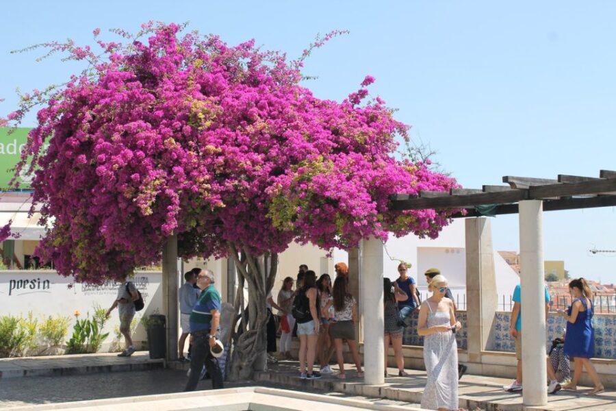 Lisbon: Full-Day Private Walking Sightseeing Tour - Exploring Lisbon’s Oldest Neighborhood, Alfama
