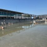 Lisbon: Guided Van Tour Through the City's Iconic Sites - Starting at Eduardo VII Park for a Panoramic Introduction