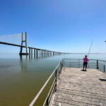 Lisbon in comfort - City highlights private tour - Exploring Lisbons Diverse Neighborhoods from Alfama to Belém