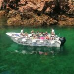 Lisbon: Peniche, Berlenga & Mafra Palace Private Day Trip - Convenient Pickup and Comfortable Transportation