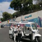 Lisbon: Private City Tour in Alfama and Chiado with Tuk Tuk - Starting Point at Mercado da Ribeira and Easy Meeting Arrangements