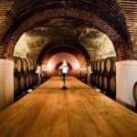 Lisbon: Private Full Day Evora & Alentejo Wine Tour - Cork Production: Discovering Portugal’s Natural Material