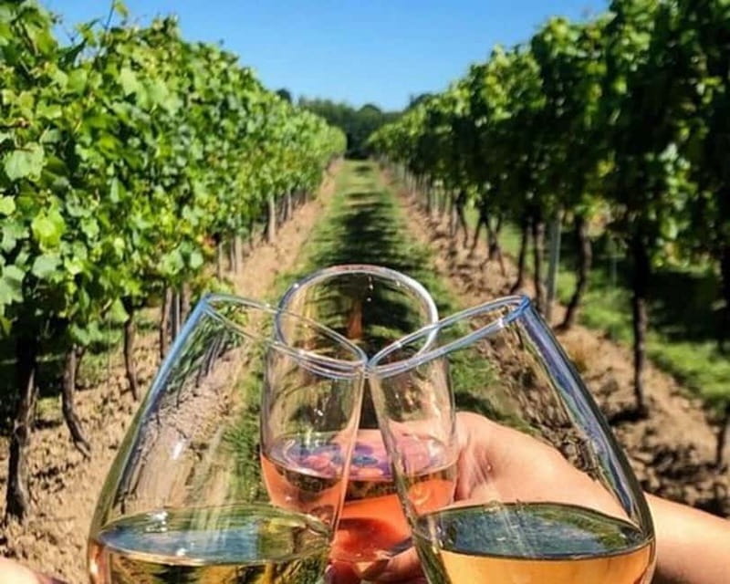 Lisbon: Setúbal, Arrábida and Azeitão Private Wine Tour - Starting Point: Hotel Pickup and Comfortable Transport