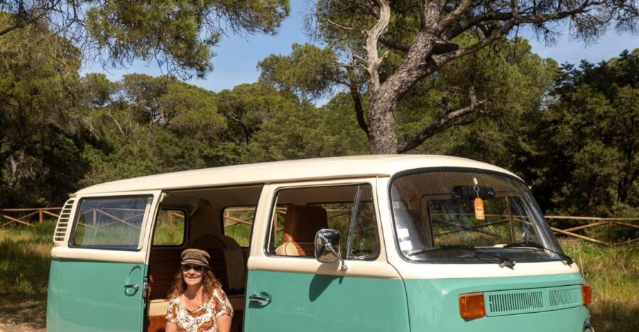 Lisbon: Sintra Pena palace and winery private tour - Visiting Pena Palace: A Bright, Majestic Landmark