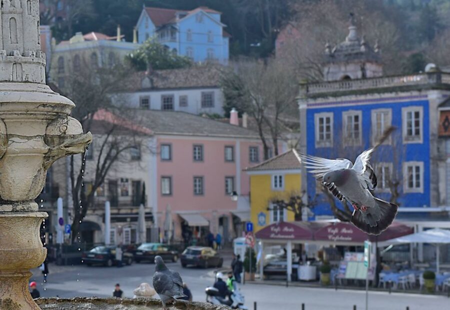 Lisbon: Sintra, Pena Palace, Quinta Regaleira, Cascais Tour - Key Points