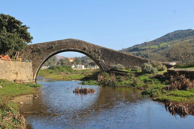 Lisbon Southern Region (Fernão Pó) Wine Tasting Private Tour - Visiting Filipe Palhoca Wines in Poceirão