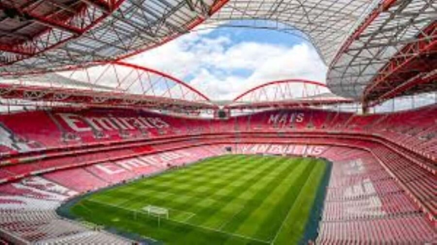 Lisbon: Ticket for a visit to Estádio da Luz + Museum - The Landmark: Estádio da Luz in Lisbon