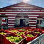 Lison: Wine Tasting Experience "A Mi Manera" - Final Thoughts on "A Mi Manera" in Lison di Portogruaro