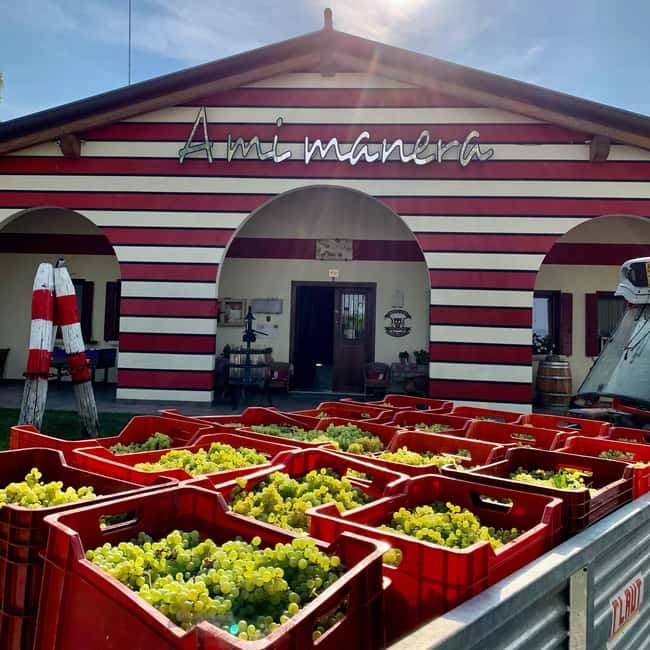 Lison: Wine Tasting Experience "A Mi Manera" - Final Thoughts on "A Mi Manera" in Lison di Portogruaro