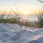 Lisse: Self-Drive Electric Car Dune and Beach Audio Tour - What the Route Covers and Notable Stops