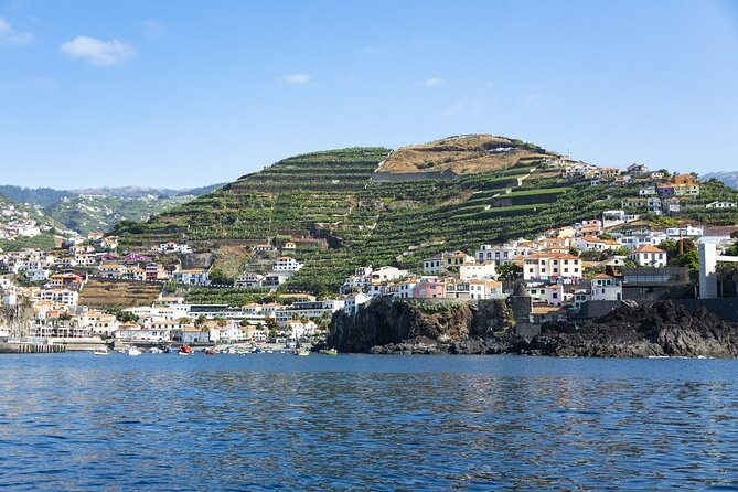 Living Sea Boat Trip in Madeira from Funchal - Exploring the Coastline from Cabo Girão to Cais da Lapa
