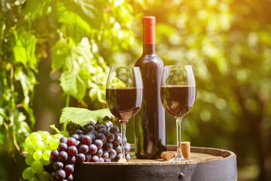 Livorno: Half-Day Chianti Wine Tasting Tour and Winery Visit - Exploring the Vineyards and Grape Cultivation