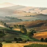 Livorno port to Bolgheri wine region and Etruscan castle - Key Points