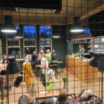 Ljubljana: Broken Bones Gin Experience with Cocktails - Discover the Story Behind Broken Bones Distillery