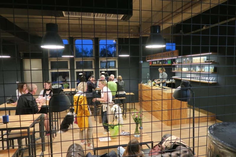 Ljubljana: Broken Bones Gin Experience with Cocktails - Discover the Story Behind Broken Bones Distillery