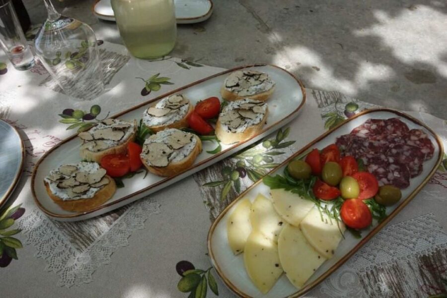 Ljubljana: Guided Truffle Hunting Tour with Hotel Transfers - Departure Details and Transportation Logistics