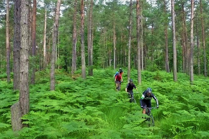 Ljubljana MTB capital - Experienced Guides Lead the Way