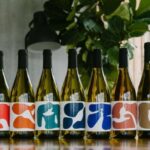 Ljubljana: Private Family-Owned Vineyard Wine Tasting Trip - Visit the Best Wine Yard of Slovenia