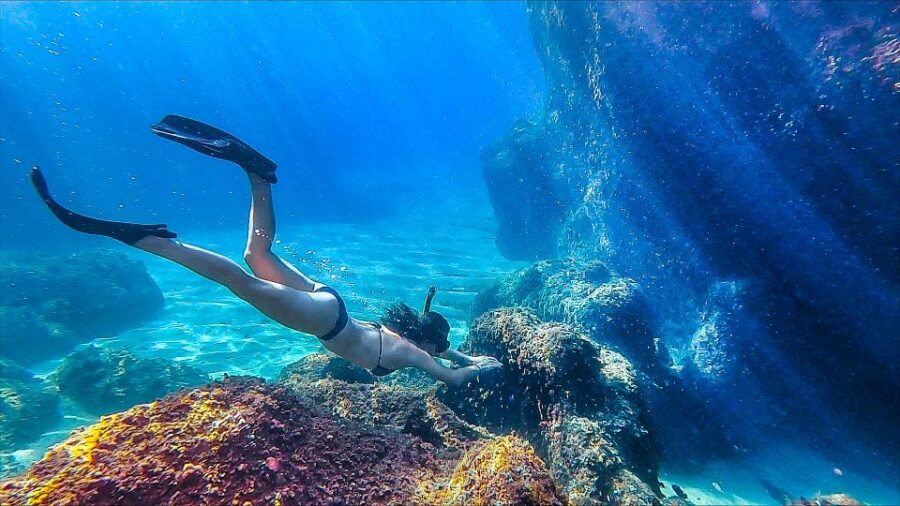 Lloret de Mar: 3-Hour Kayak and Snorkel Tour on Costa Brava - Starting at Fenals Beach with Expert Guidance