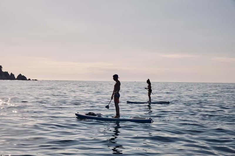 Lloret de Mar: Sunrise Paddle Board Ride with Instructor - Meeting Point at Fenals Beach in Lloret de Mar