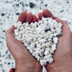 Lobos,Dunes,Popcorn Beach: small 8 persons group with guide! - Scenic Boat Ride and Water Activities on Lobos Island