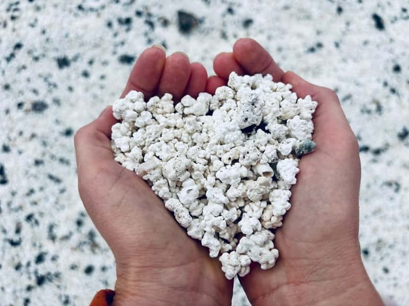 Lobos,Dunes,Popcorn Beach: small 8 persons group with guide! - Scenic Boat Ride and Water Activities on Lobos Island