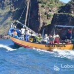 Lobosonda Ribeira Brava whale watching tour - Starting Point and Meeting Logistics