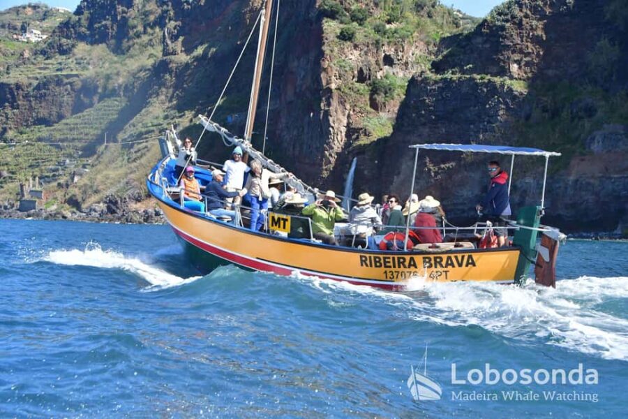 Lobosonda Ribeira Brava whale watching tour - Starting Point and Meeting Logistics