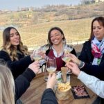 Local wines and traditional balsamic experience - The Scenic Hilltop Cellar and Vineyard Tour