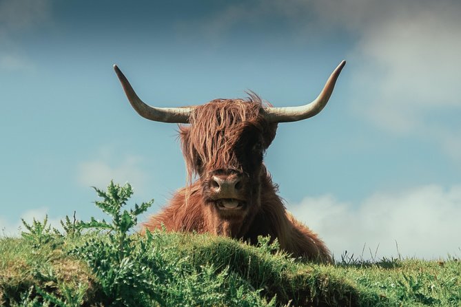 Loch Ness, Glen Coe & The Highlands Day Tour from Edinburgh - Fort William and the Base of Ben Nevis