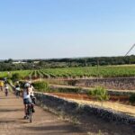 Locorotondo: E-Bike Tour to Alberobello with Ice Cream - Behind the Walls of Locorotondo and Alberobello