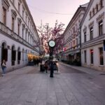 Lodz: Industrial Heritage Walking Tour with Guide - Starting Point at Poznaski Palace’s Entrance