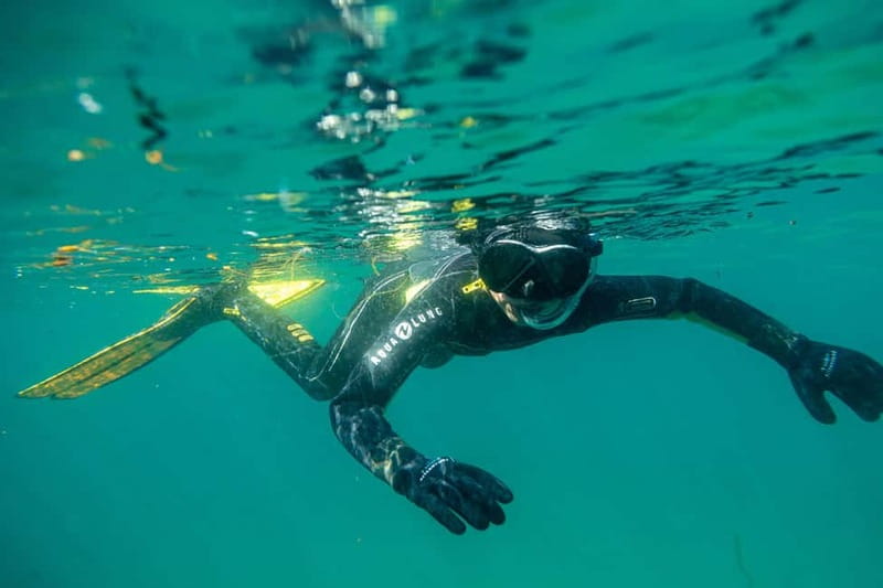 Lofoten: Family Snorkeling Tour - The Exciting Snorkeling Stop in the Secret Location